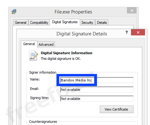 Screenshot of the Bandoo Media Inc certificate